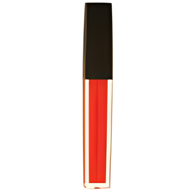 Ultimate Lip Gloss